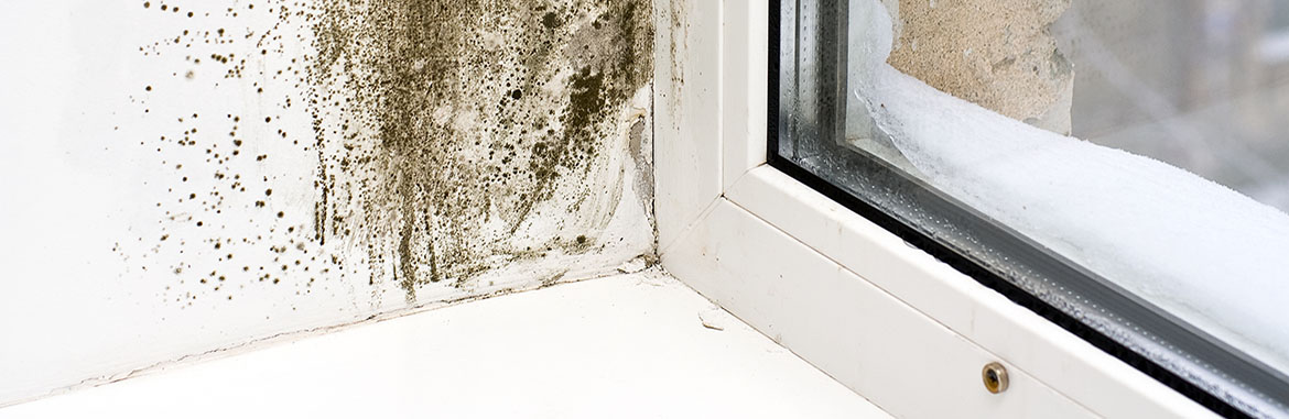 Cómo eliminar las humedades en paredes y muros - Eliminar Humedades