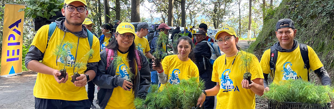 Plantamos 2.000 árboles en Xela