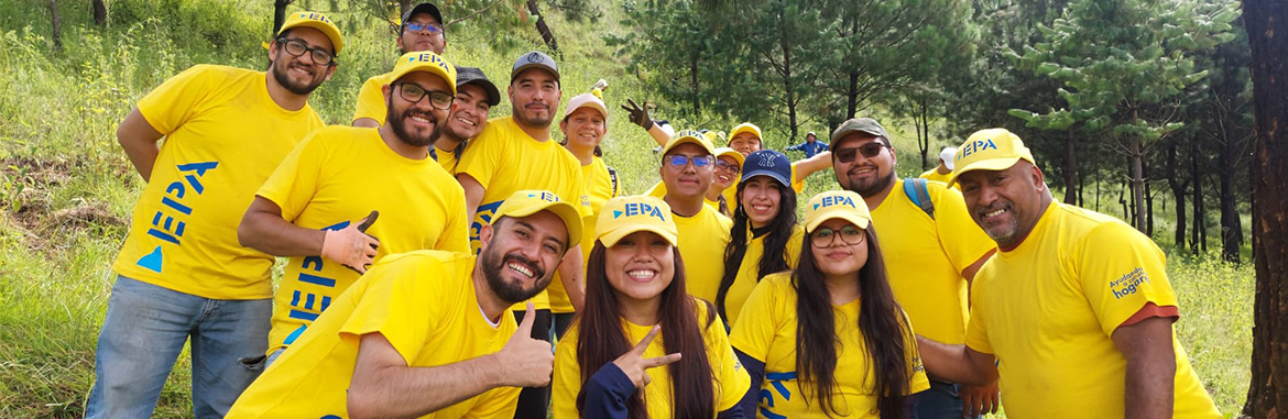 Voluntarios sembraron 400 árboles en Quetzaltenango