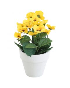 Viola amarillo 14x14x22cm