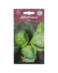 Albahaca blanca maceta #4 5" (únicamente para retiro en tienda)