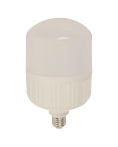 Bombillo led 40 w e27 t20 6500k ecomax.